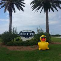 dodgertown